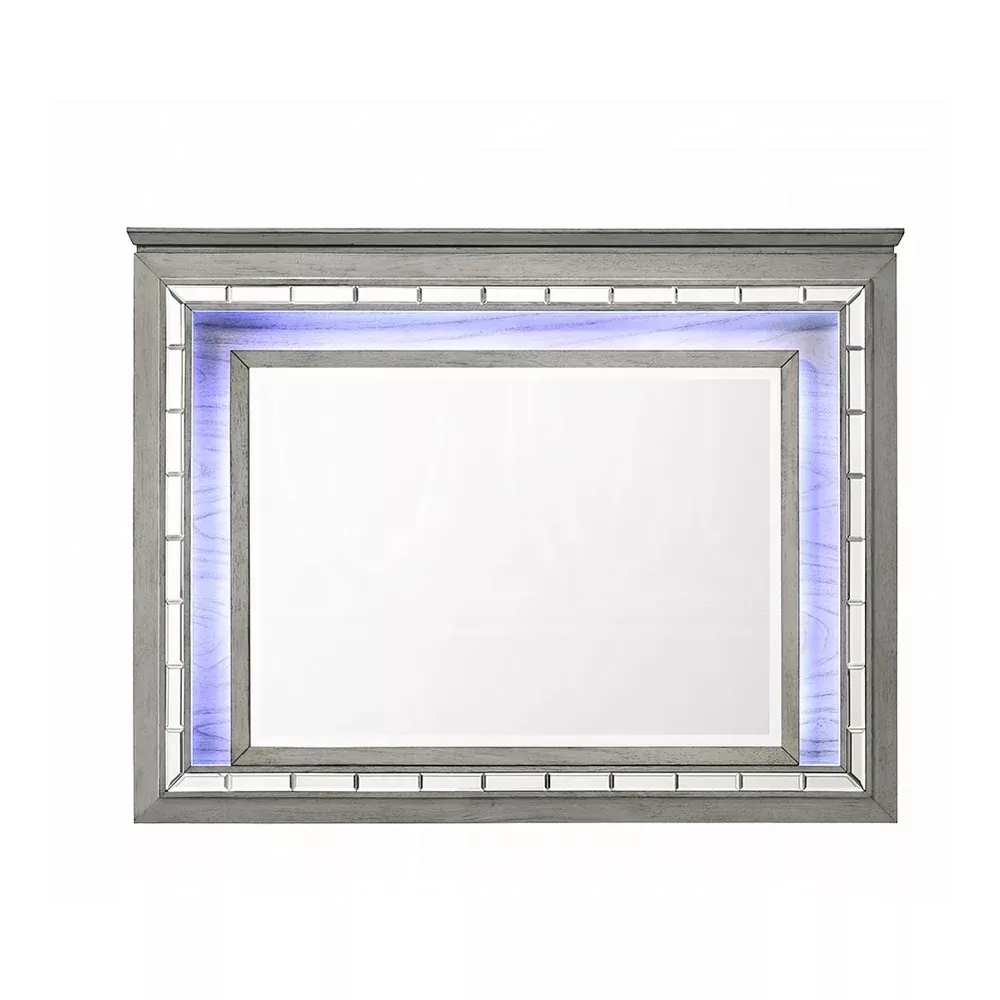 Acme Furniture 21824 Antares Mirror