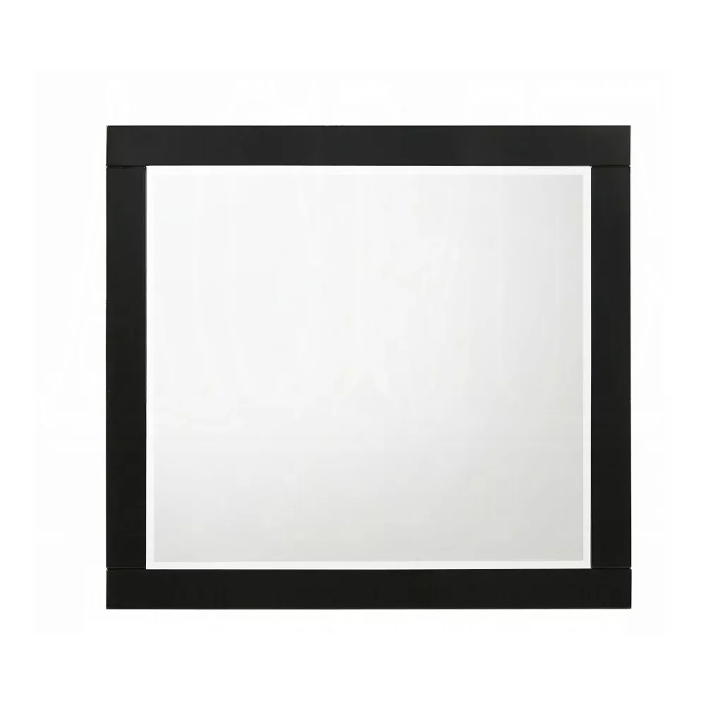 Acme Furniture 27414 Chelsie Mirror