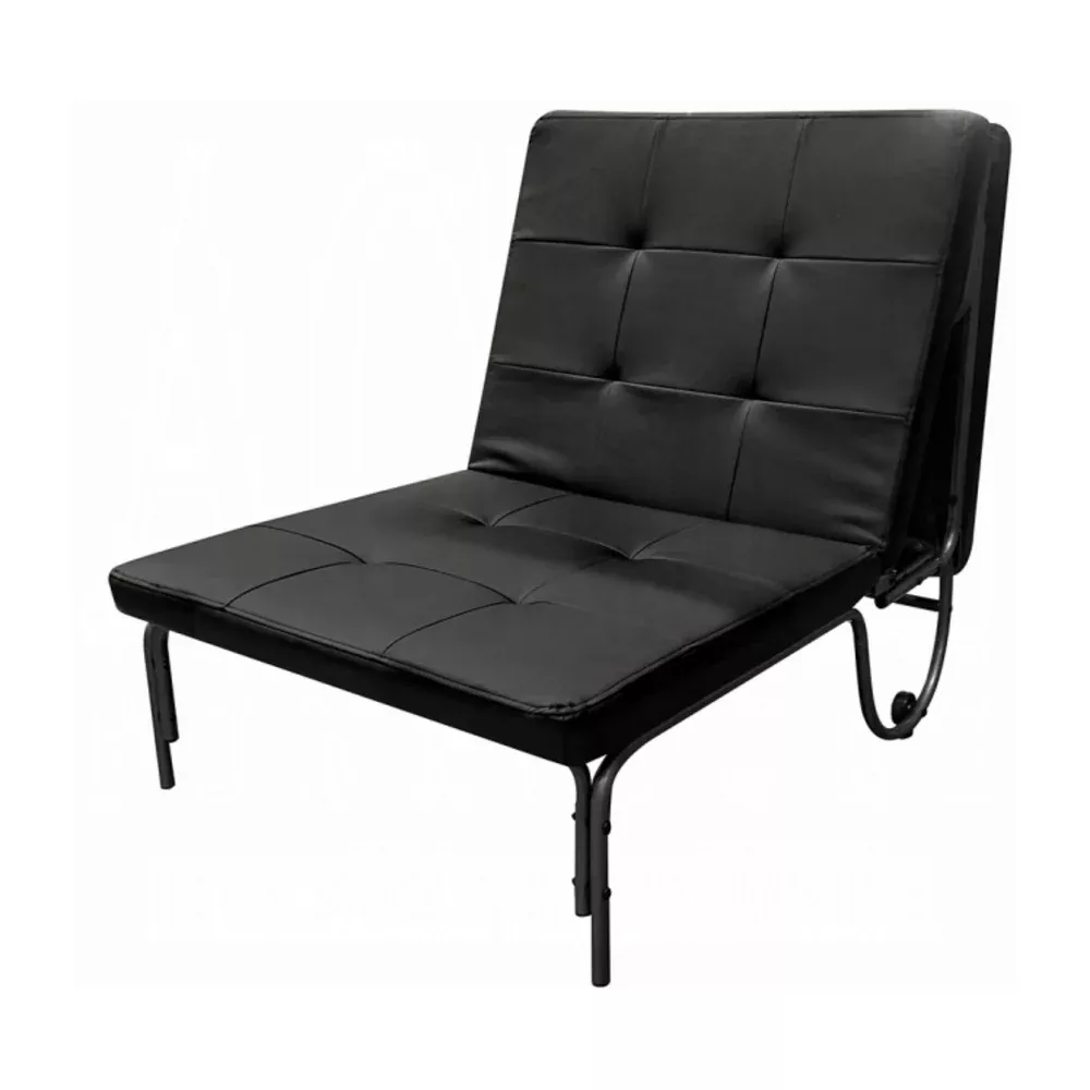 Acme Furniture 37276 Arcadia Sofa Bed