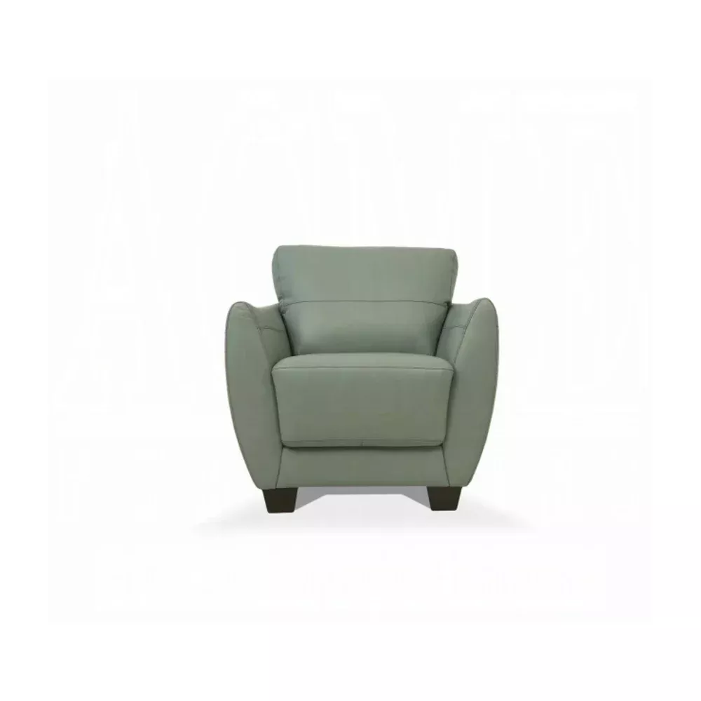 Acme Furniture 54952 Valeria Stationary Sofa