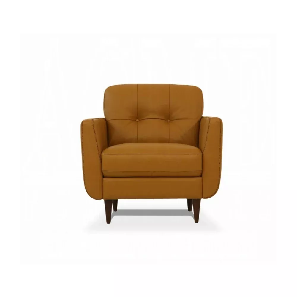 Acme Furniture 54957 Radwan Stationary Sofa