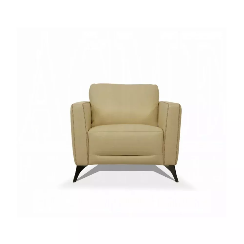 Acme Furniture 55007 Malaga Stationary Sofa