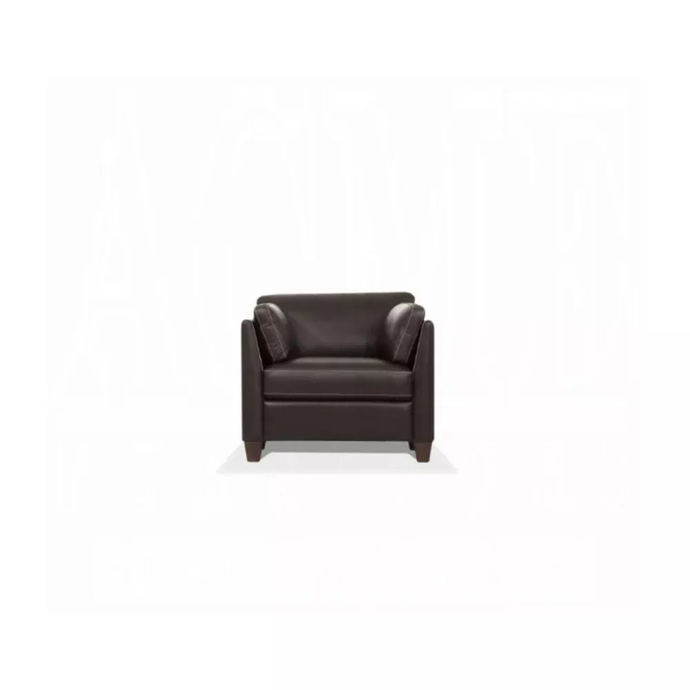 Acme Furniture 55012 Matias Stationary Sofa