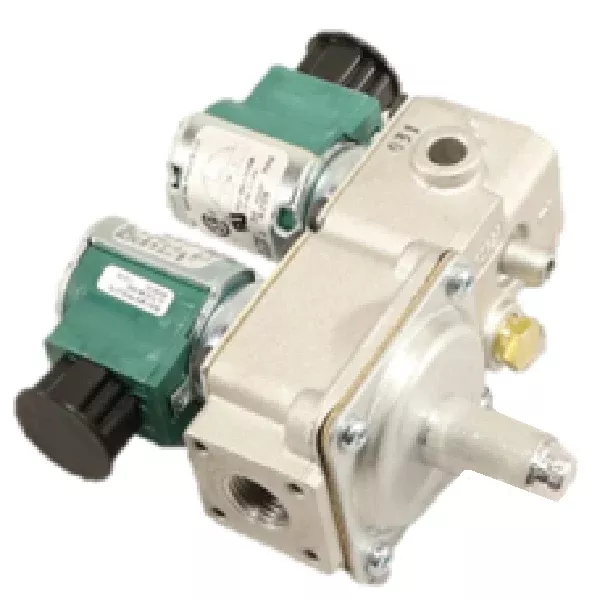 baso-bgd258abc-1caddc-gas-valve BASO BGD258ABC-1CADDC Gas Valve